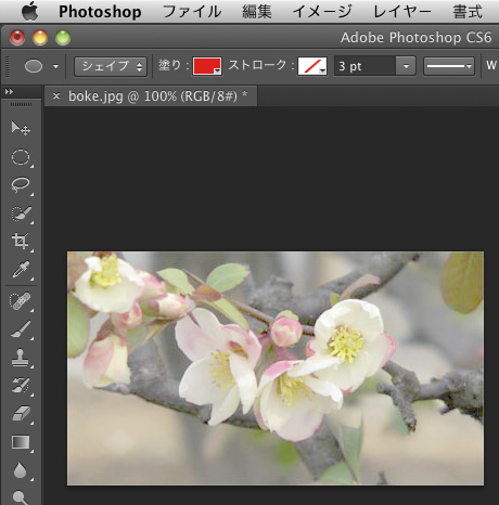 Adobe Photoshop CS6使い方辞典