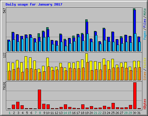 Daily usage for January 2017