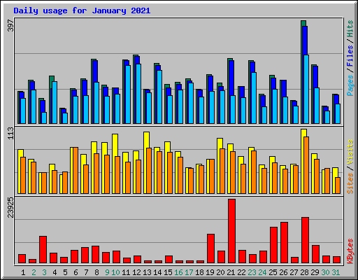 Daily usage for January 2021