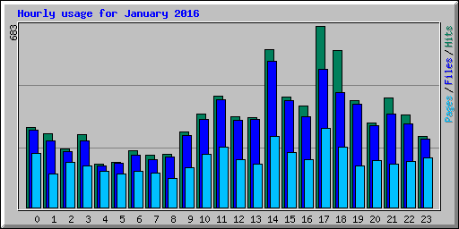 Hourly usage for January 2016