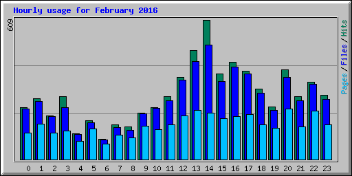 Hourly usage for February 2016