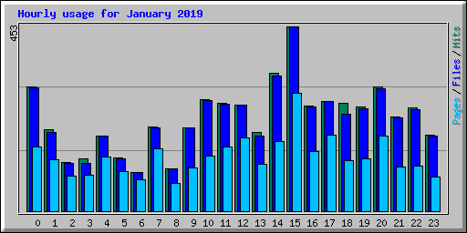 Hourly usage for January 2019