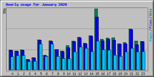 Hourly usage for January 2020