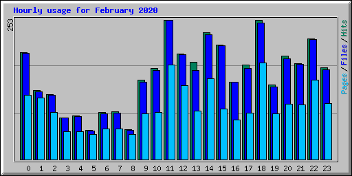 Hourly usage for February 2020