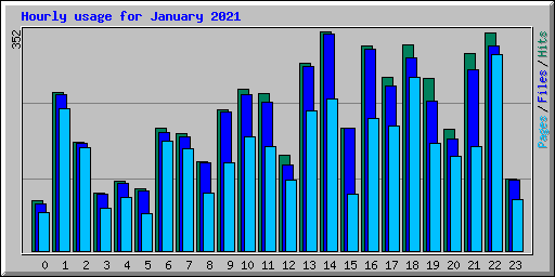 Hourly usage for January 2021