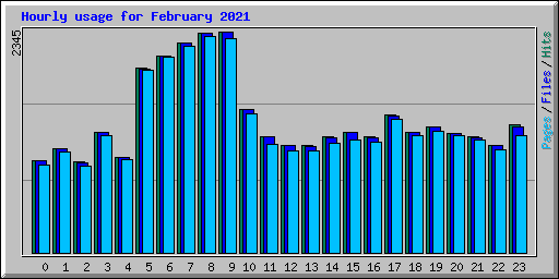 Hourly usage for February 2021