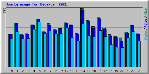 Hourly usage for December 2021