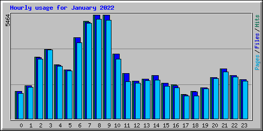 Hourly usage for January 2022