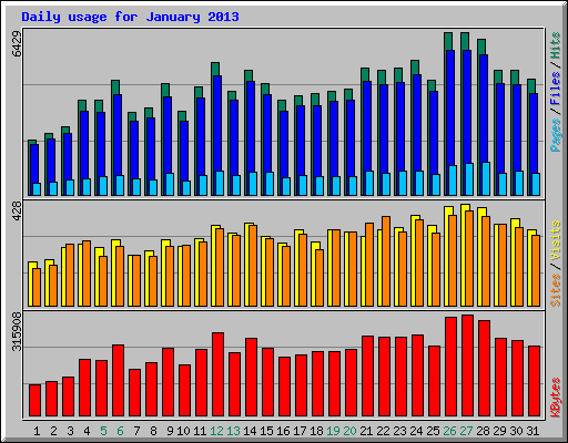 Daily usage for January 2013