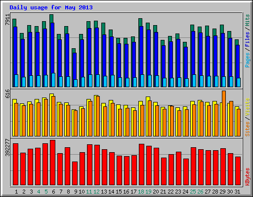 Daily usage for May 2013