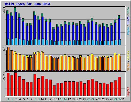 Daily usage for June 2013