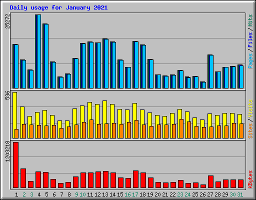 Daily usage for January 2021