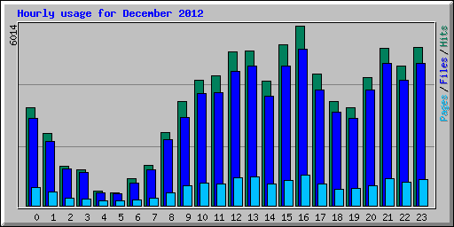 Hourly usage for December 2012