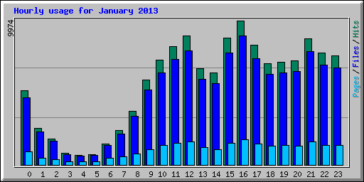 Hourly usage for January 2013