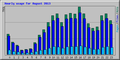 Hourly usage for August 2013