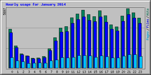 Hourly usage for January 2014