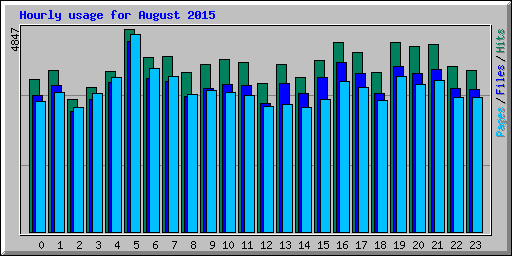 Hourly usage for August 2015