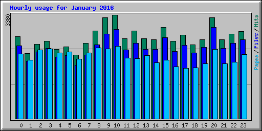 Hourly usage for January 2016