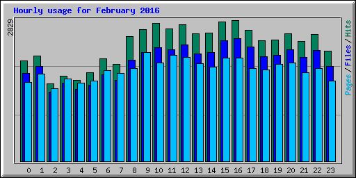 Hourly usage for February 2016