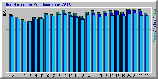 Hourly usage for December 2016