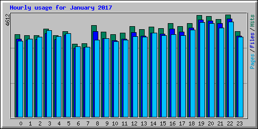 Hourly usage for January 2017