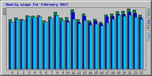 Hourly usage for February 2017