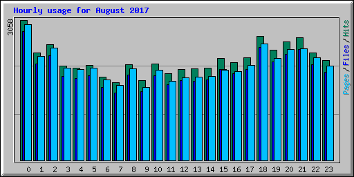 Hourly usage for August 2017