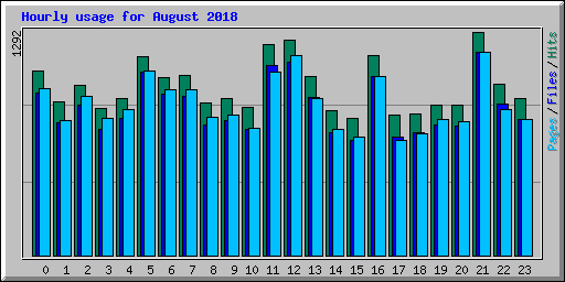 Hourly usage for August 2018