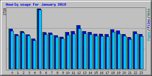 Hourly usage for January 2019