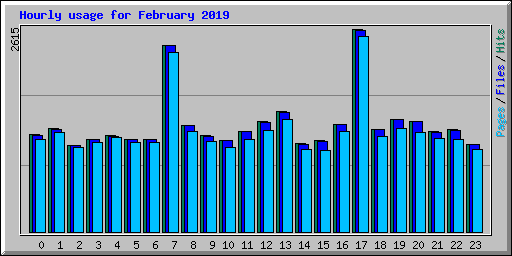 Hourly usage for February 2019