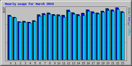 Hourly usage for March 2019