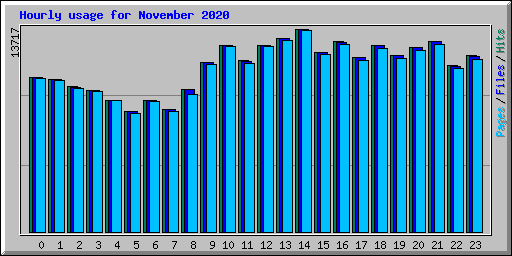 Hourly usage for November 2020