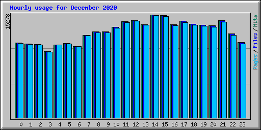 Hourly usage for December 2020