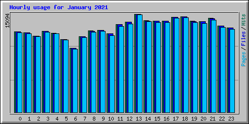 Hourly usage for January 2021