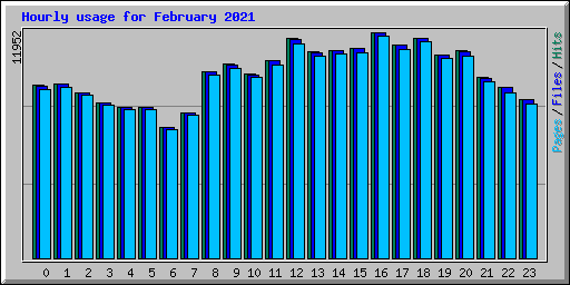 Hourly usage for February 2021