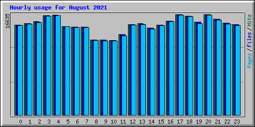 Hourly usage for August 2021