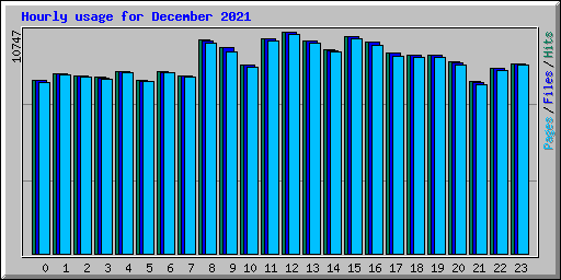 Hourly usage for December 2021