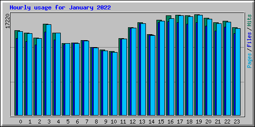 Hourly usage for January 2022