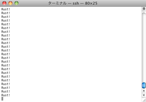 Rustプログラムの実行結果