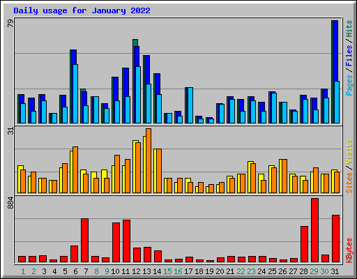 Daily usage for January 2022