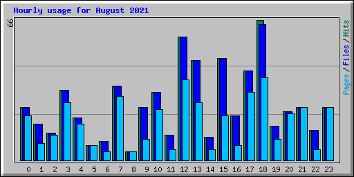 Hourly usage for August 2021