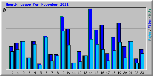 Hourly usage for November 2021