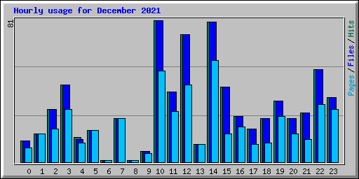 Hourly usage for December 2021