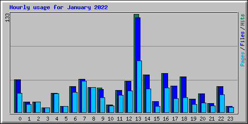 Hourly usage for January 2022