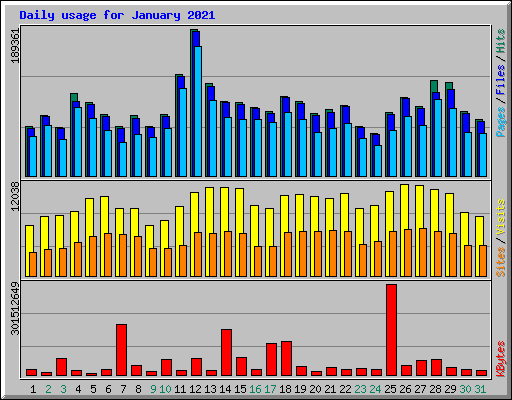 Daily usage for January 2021