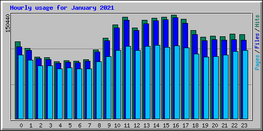 Hourly usage for January 2021