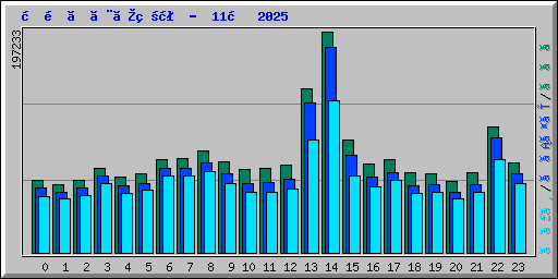 時間ごとの状況 -  11月 2025