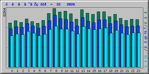 時間ごとの状況 -  2月 2026